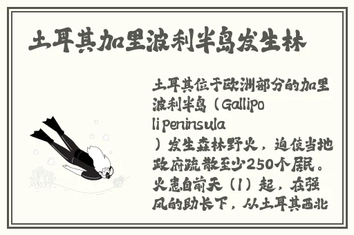 遇到东北猛攻后一枚夹心饼干